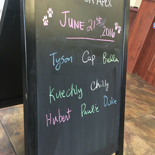 vca apex animal hospital