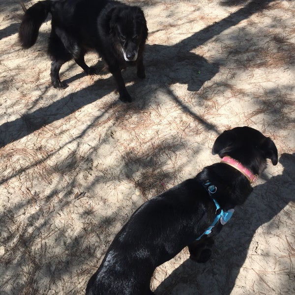 Fuquay Varina Dog Park FuquayVarina, NC