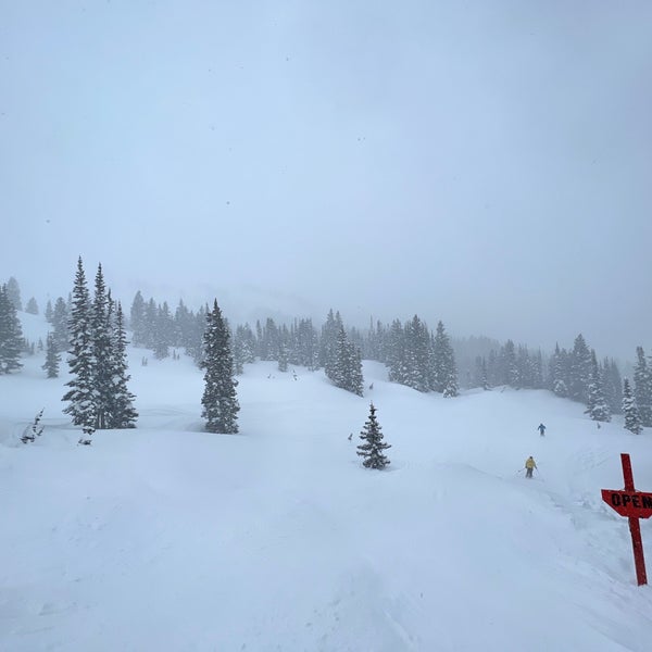 Photo prise au Alta Ski Area par Corey G. le3/8/2023