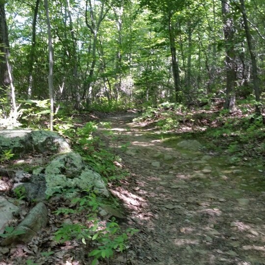 Oswegatchie Hills Nature Preserve Niantic, CT