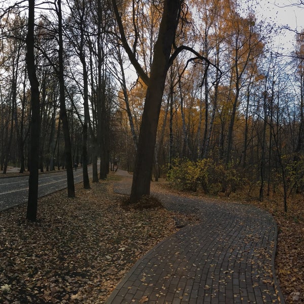 Митьковский проезд сокольники. Митьковский проезд.. митьковский пр., 10, парк «сокольники». митьковский проезд 10. митьковский проезд дом 1.