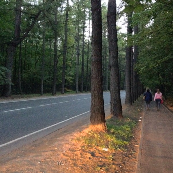 Поперечный просек 1г. Поперечный просек 1г. Поперечный просек 1г. Поперечный просек 11. Поперечный просек дом 1 г.