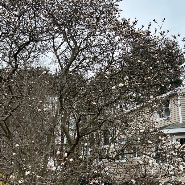 Weymouth Town Hall Structure in East Weymouth