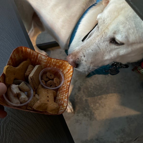 Slanted Window Wine Bar in Franklin