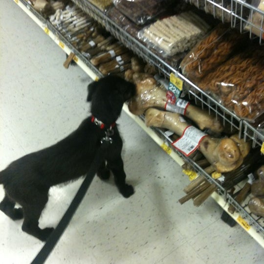 PetSmart Pet Supplies Store in Burlington