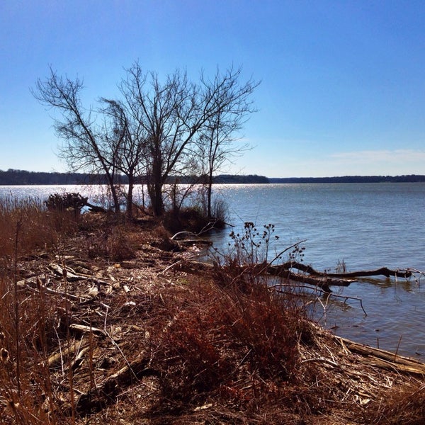 Dyke Marsh Wildlife Habitat Pier 137 visitors