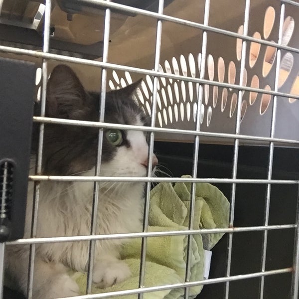 Butler Animal Clinic 1 tip from 178 visitors