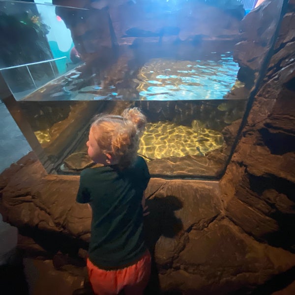 Photo taken at Ripley&#39;s Aquarium of the Smokies by Kristen J. on 7/24/2021