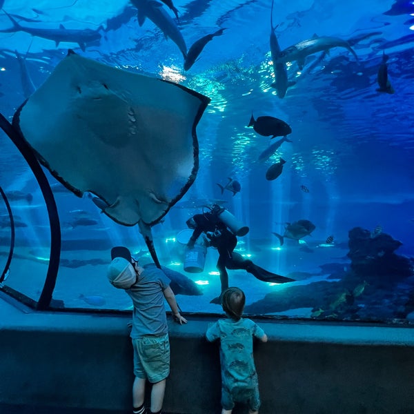Foto diambil di Maui Ocean Center, The Hawaiian Aquarium oleh John B. pada 12/4/2021