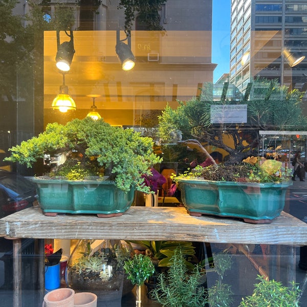 Plaza Flowers New York'da Çiçekçi'da fotoğraflar