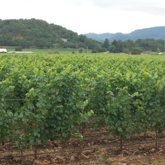 Das Foto wurde bei Baldacci Family Vineyards von Ben K. am 6/26/2013 aufgenommen