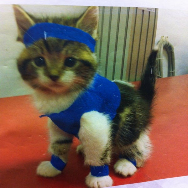 Pets Lifeline Pet Supplies Store