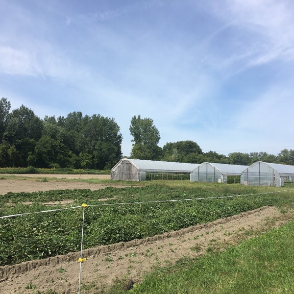 Intervale Community Farm Farm