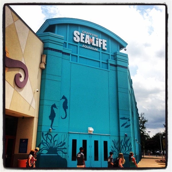 Foto tirada no(a) SEA LIFE Grapevine Aquarium por Anyta L. em 6/25/2014