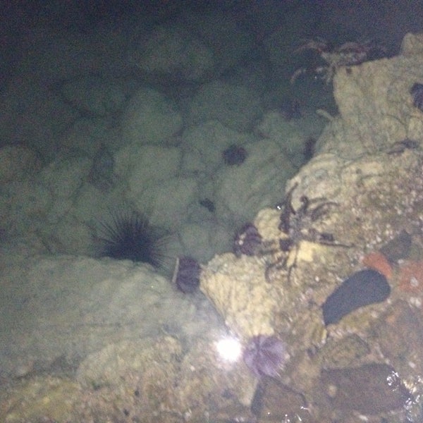 Red Sea Divers Hurghada