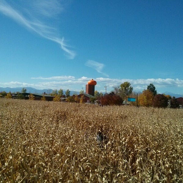 10/19/2014にJosh B.がAnderson Farmで撮った写真