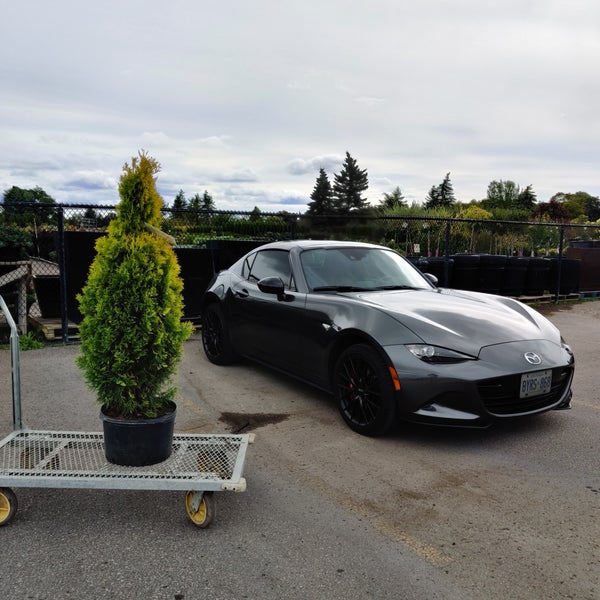 Tree Valley Garden Centre Garden Center