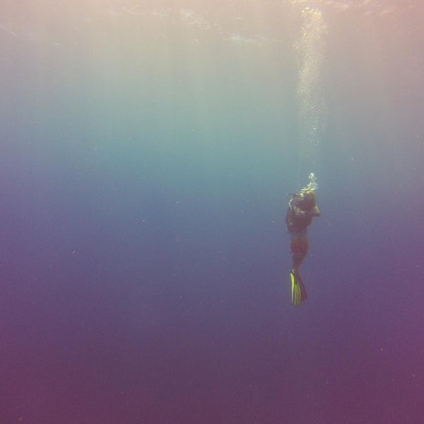 Das Foto wurde bei Living The Dream Divers von Calvin P. am 8/15/2015 aufgenommen