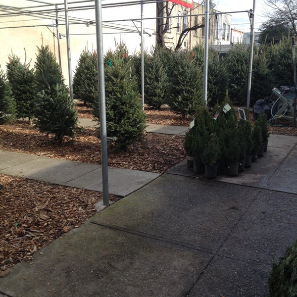 Photo taken at Kings County Nurseries by Tyniece W. on 12/7/2013