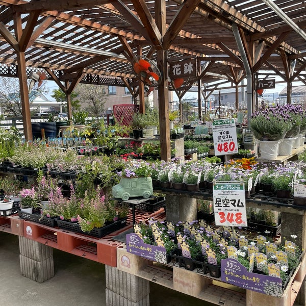 Photos At アズガーデン 花いちば 三本木金久48