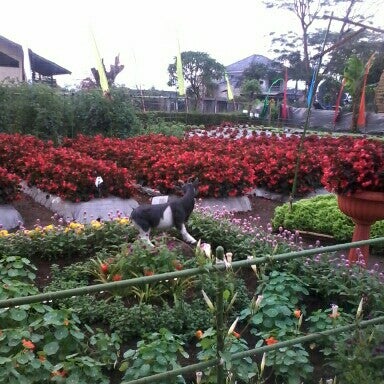 Photos At Taman Bunga Rizal Garden In Lembang