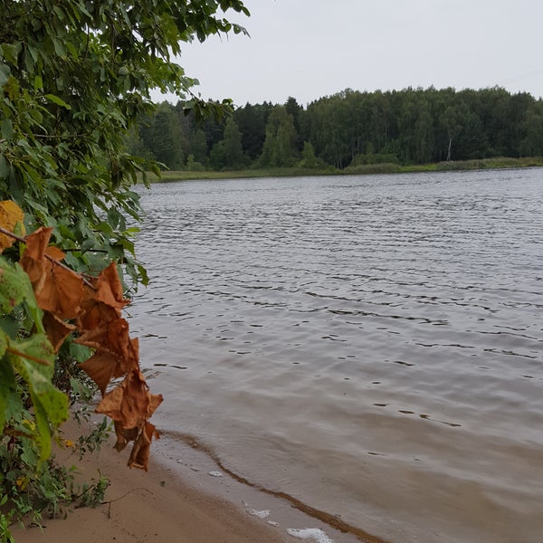 Пяловское водохранилище пляж