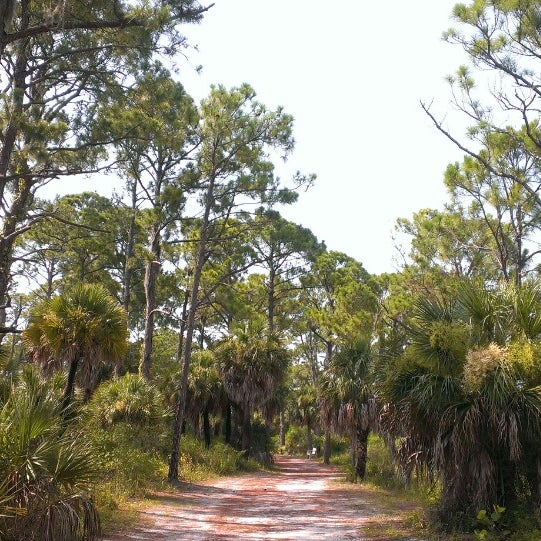 Honeymoon Island Nature Trail 2 tips