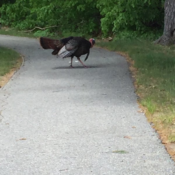 The MITRE Corporation Bedford, MA