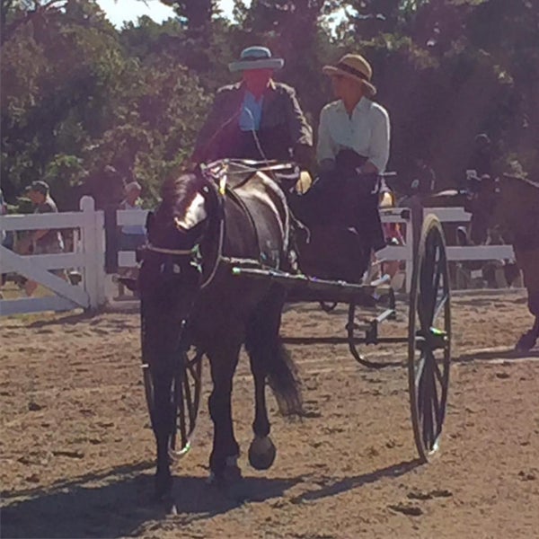 Photos at Ludwigs Corner Horse Show Stables