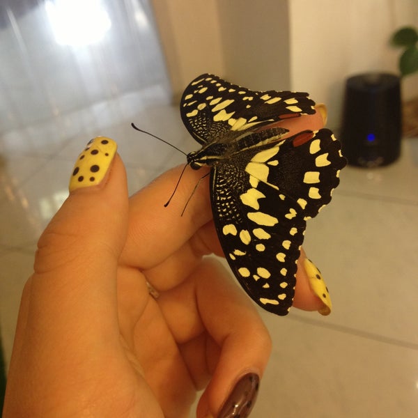 4/25/2013にIren 🍭 Z.がМузей живых бабочек «Тропический рай»で撮った写真