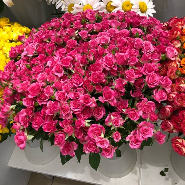 императорские сады усадьбы марьино ширма. цветы марьино. цветы марьино. цветы марьино. магазин театр цветов на октябрьской улице.