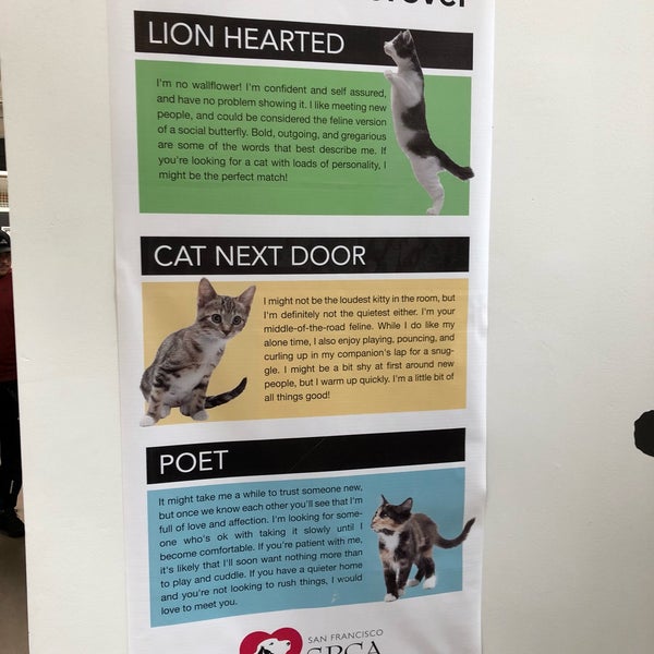 Spca pacific sale heights