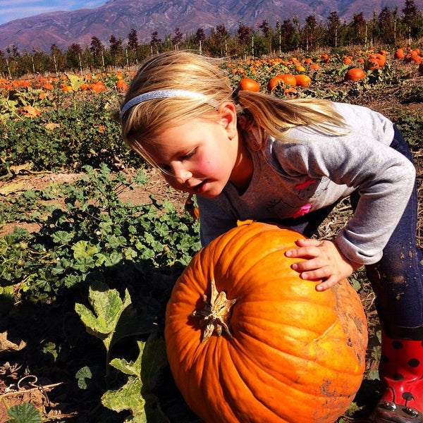 J&J Nursery Layton, UT