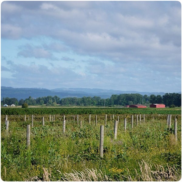 Sauvie Island 11 tips from 1742 visitors