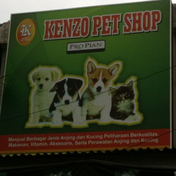 Jenis Makanan Kucing Dan Anjing