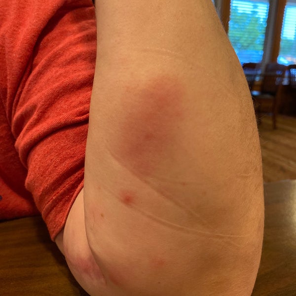 No light bulb in the bathroom, only 2 pillows for a king size bed, and room was not very lean. Ended up with bug bites on my arms and legs. Not sure if they are bed bugs yet.  😡
