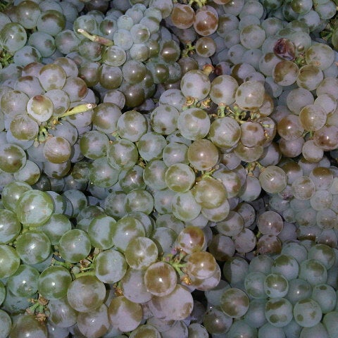 Villamor de los Escuderos Neighborhood