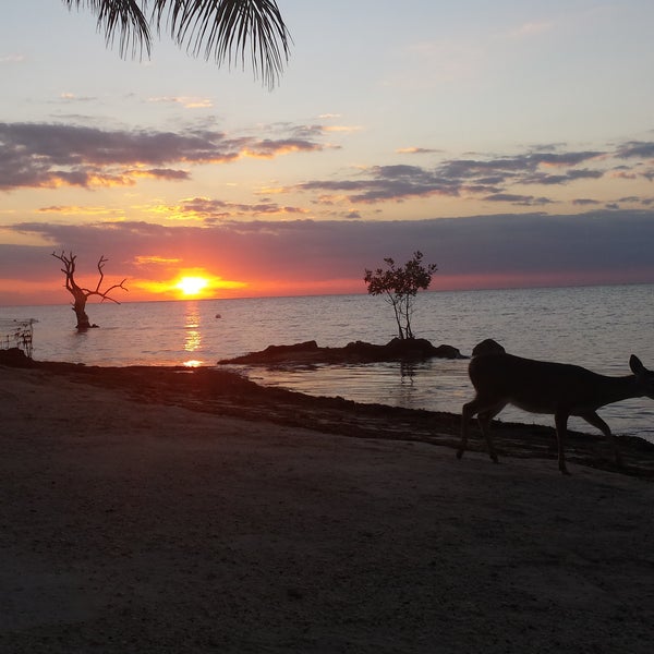 Deer Run Bed & Breakfast Big Pine Key, FL