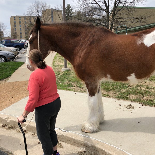 Clydesdale Hall 2 tips from 115 visitors