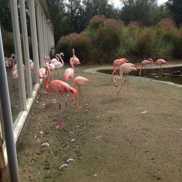 Photo taken at Aqua Zoo by Luiza V. on 9/1/2014
