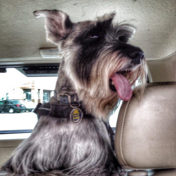 Photos at PetSmart Raleigh, NC