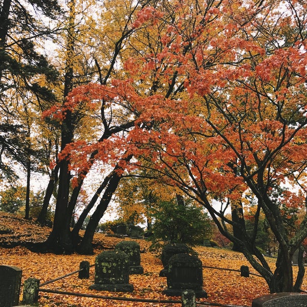 Foto tirada no(a) Sleepy Hollow Cemetery por Heather M. em 10/21/2016