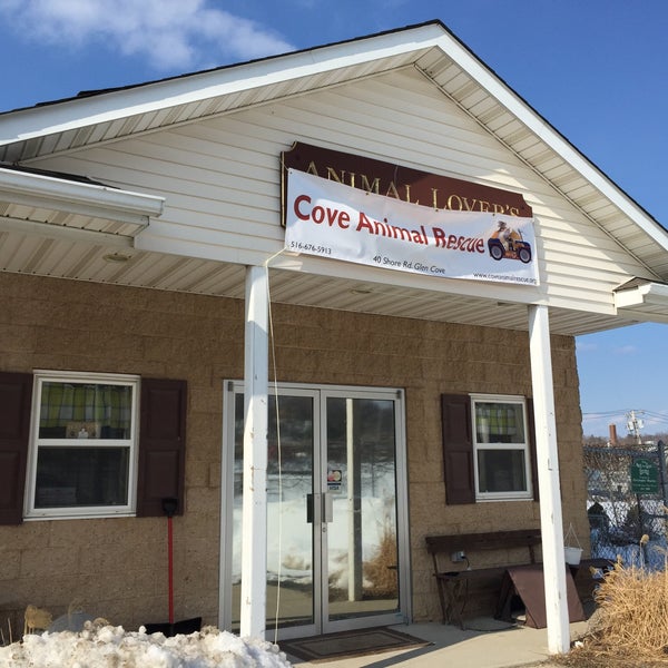Cove animal Rescue Glen Cove, NY