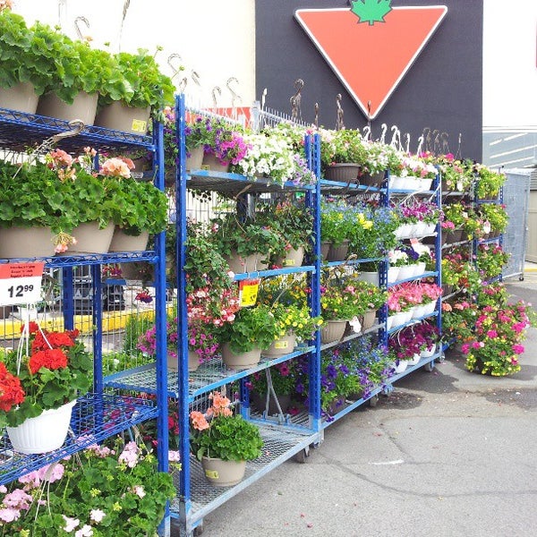 Canadian Tire Hardware Store in Billings BridgeAlta Vista