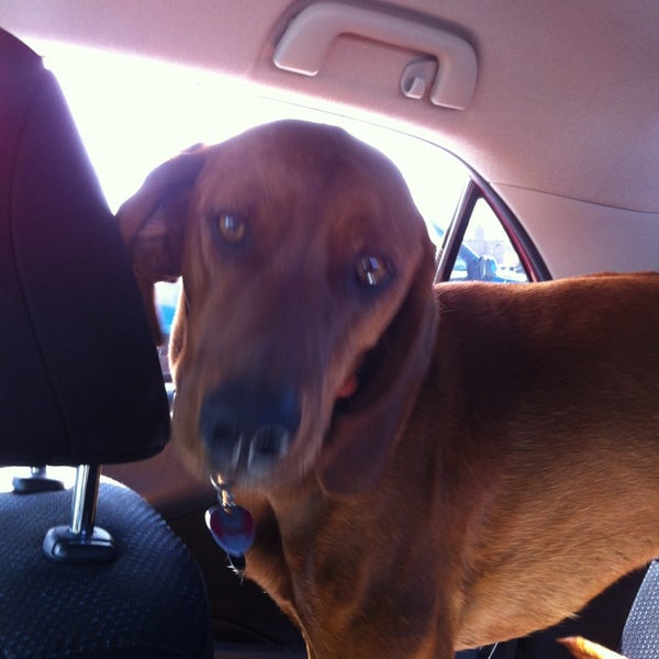 Photos at Harps Food Store Fayetteville, AR