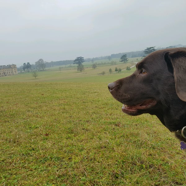 Croome Park High Green