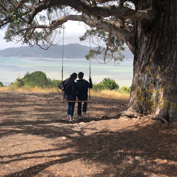 Swings of San Francisco