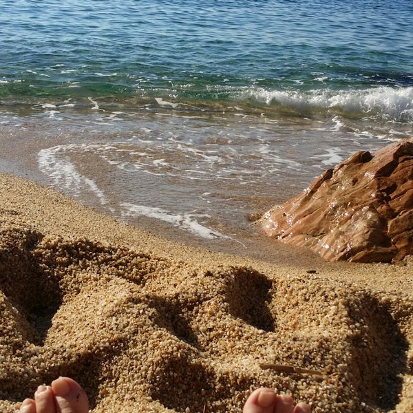 calça de onça 2018