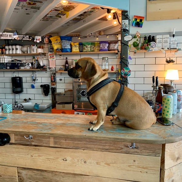 Foto scattata a Chewie&#39;s Bar da Johannes S. il 9/4/2019