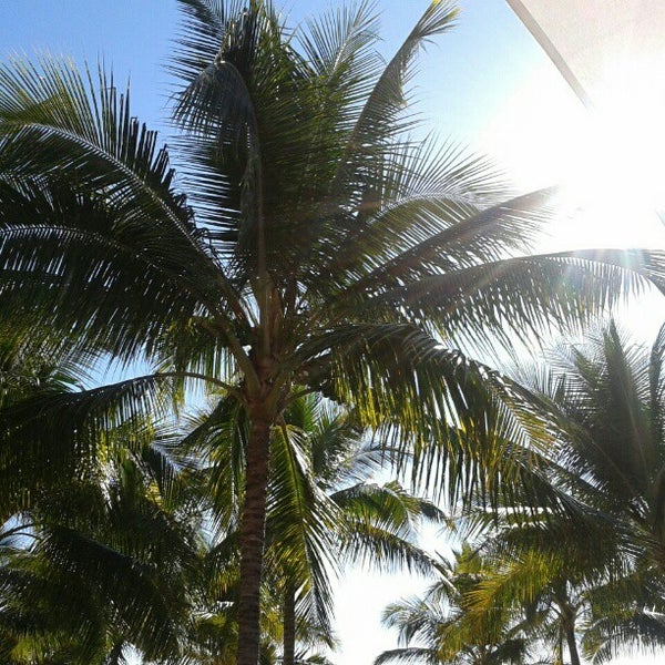 2/2/2013にEduardo D.がFriendly Vallarta Beach Resort &amp; Spaで撮った写真